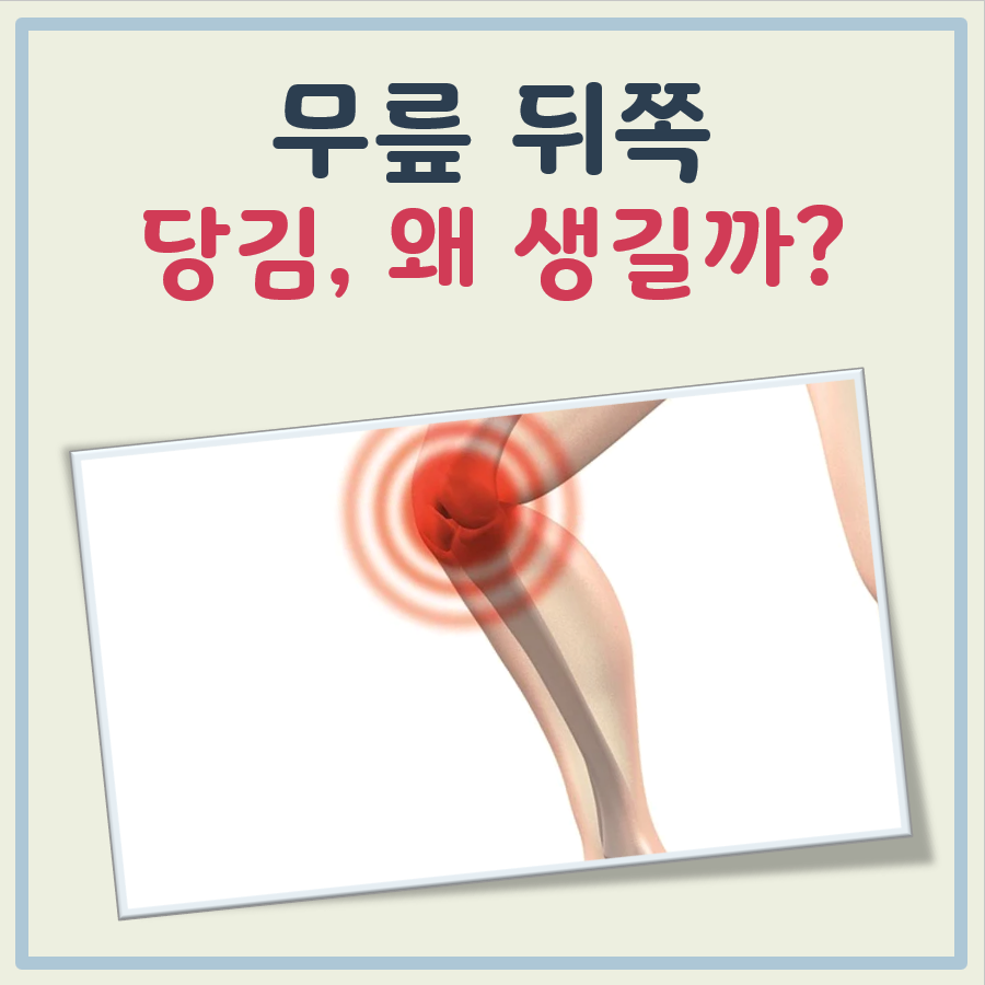 무릎 뒤쪽 당김 대표 이미지