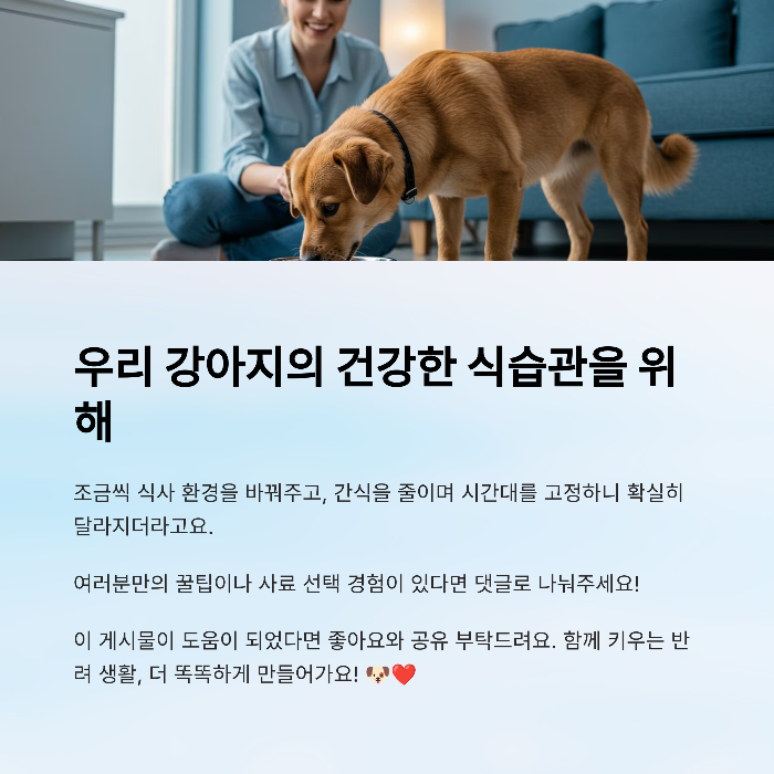 강아지 사료 안먹을때
