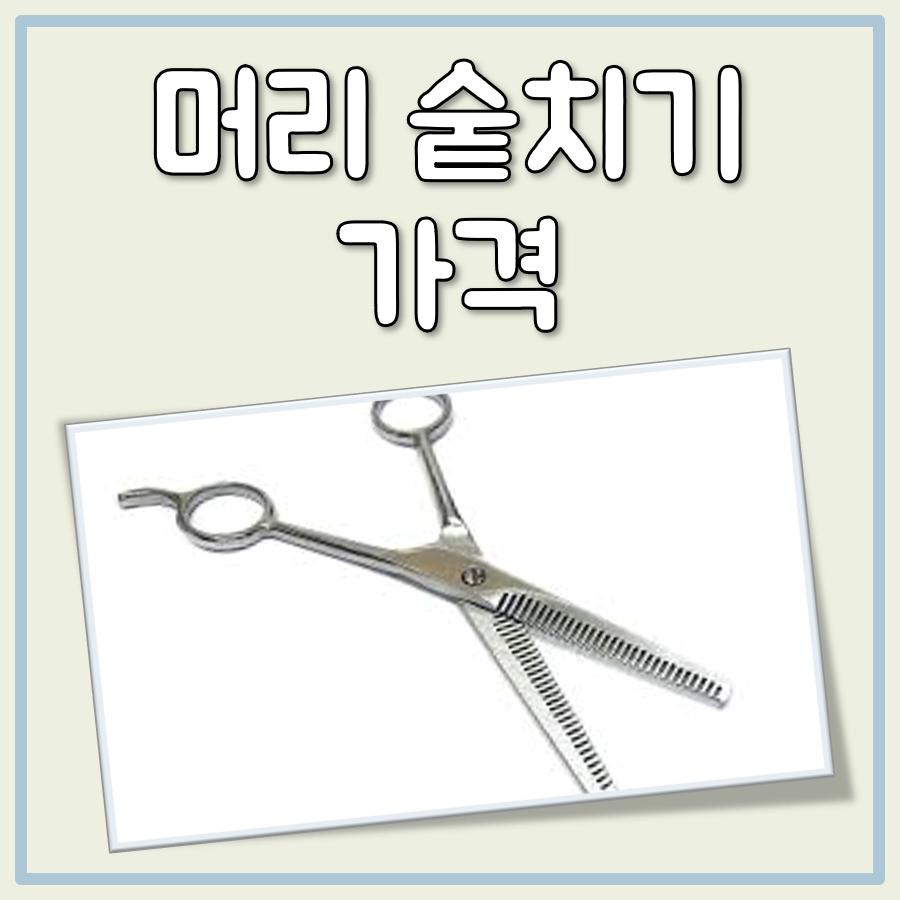 머리 숱치기 가격 대표 이미지