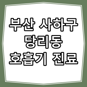 부산시 사하구 당리동 호흡기 내과 진료 동네 병원