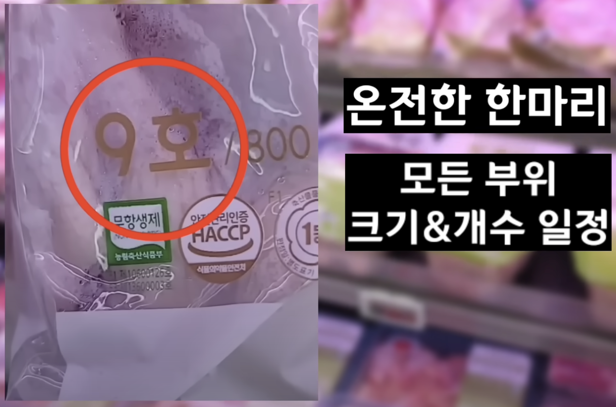닭 고르는법