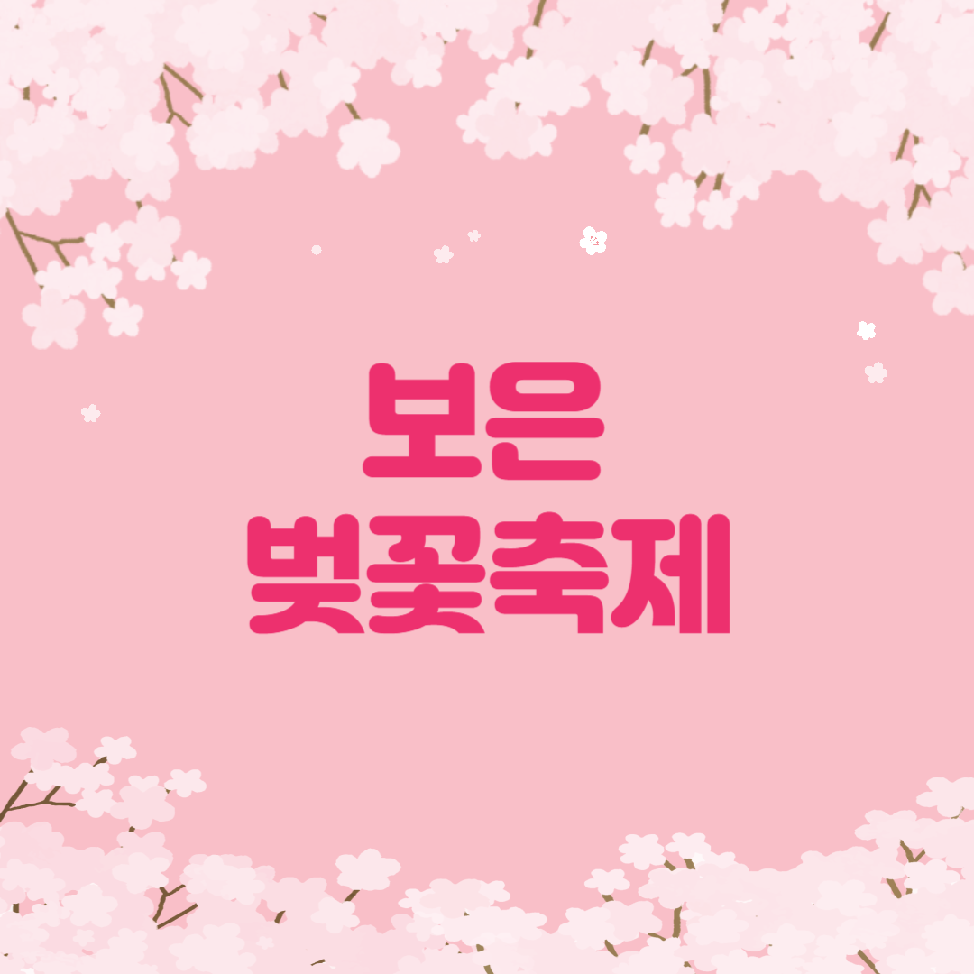 보은 벚꽃축제 일정 프로그램 주차 맛집 꿀팁