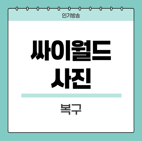 싸이월드-사진복구