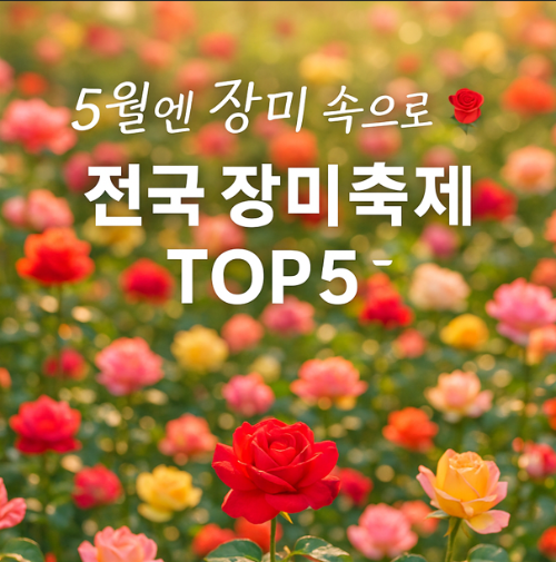 장미축제 전국 TOP5