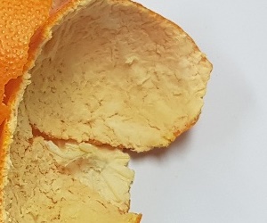 발암 억제에 도움이 되는 귤 효능