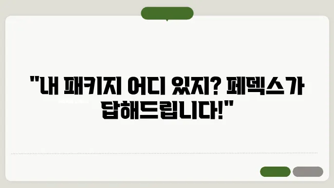 페덱스 배송조회