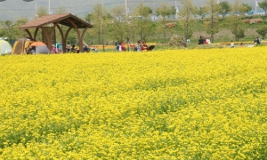 5월에 인기좋은 전국축제