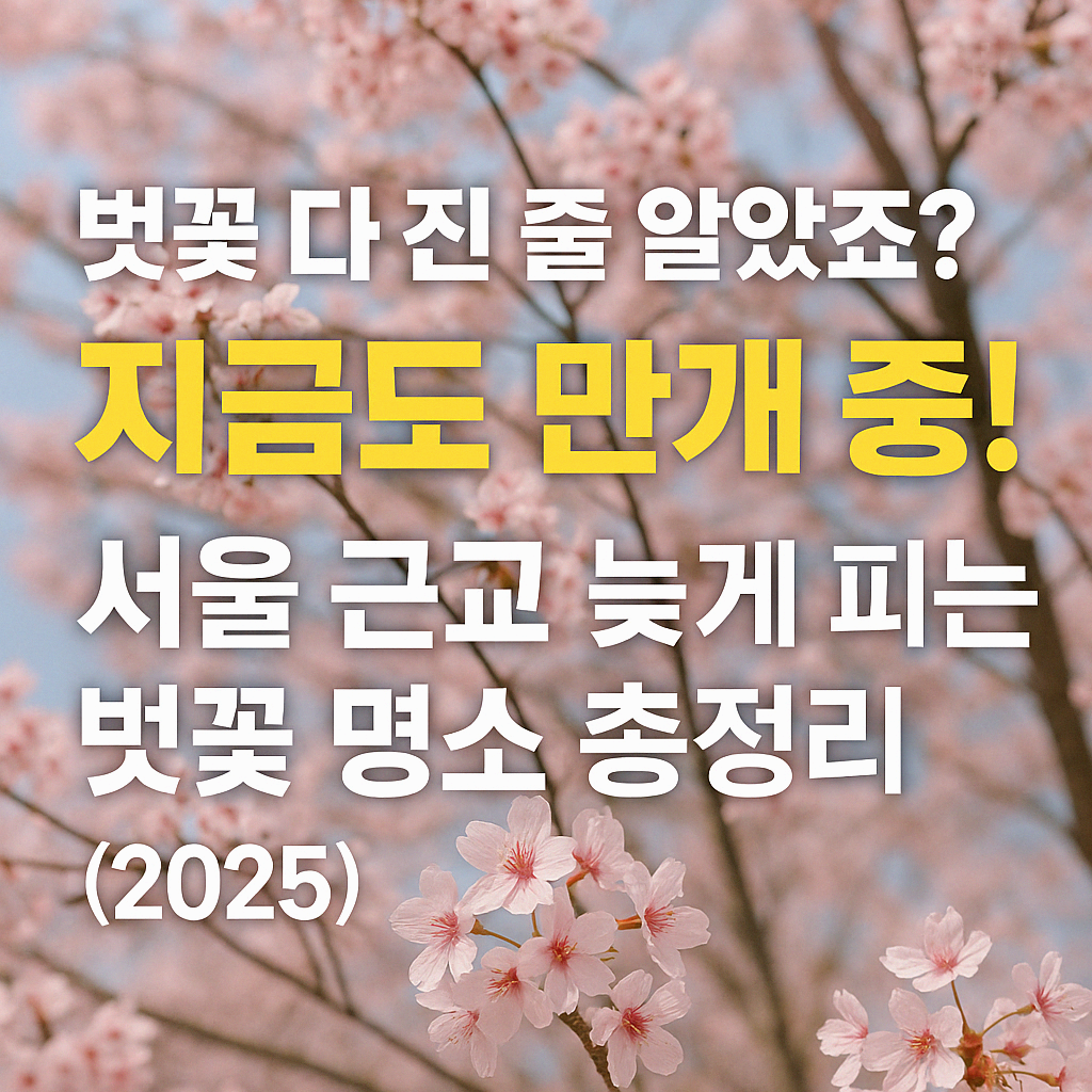 벚꽃 명소