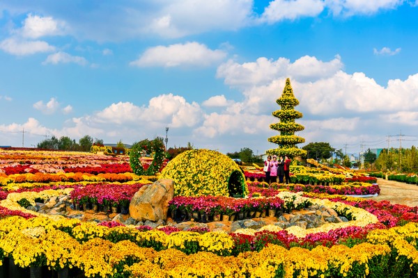 2024연천국화축제