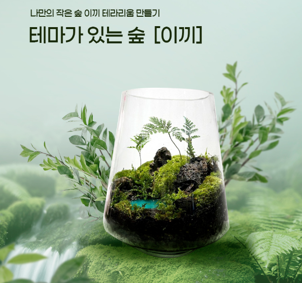 테마가 있는 숲 이끼