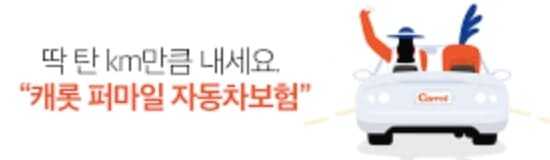 캐롯 퍼마일 다이렉트
