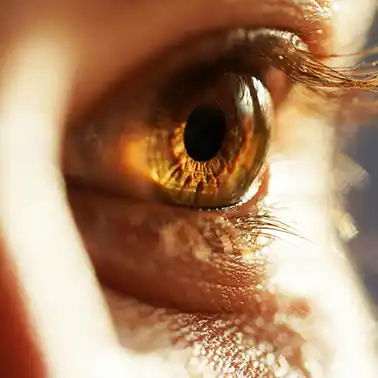 운전면허 적성검사 시력기준