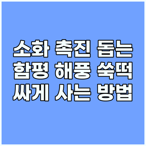 소화 촉진 돕는 함평 해풍 쑥떡! 효..