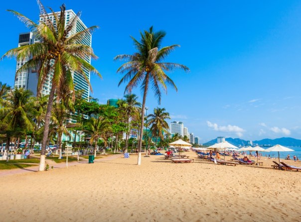 청주공항 국제선 운항 정보 해외노선