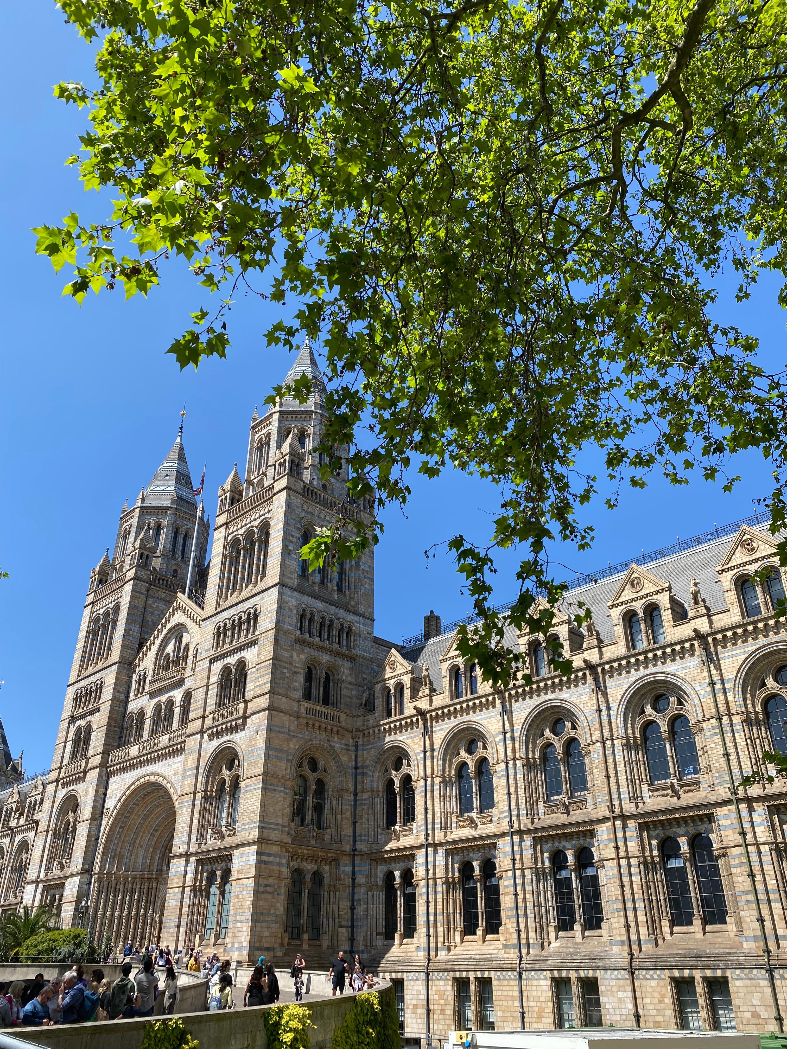 Natural History Museum
