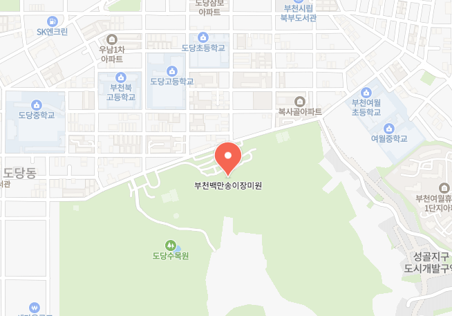 부천 백만송이장미공원 장미축제