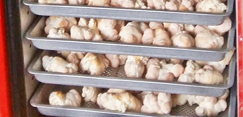 오늘N 2540회 가족이 뭐길래 드림버섯농장 표고버섯, 노루궁뎅이버섯, 녹각영지버섯까지 건강한 먹거리 주문방법