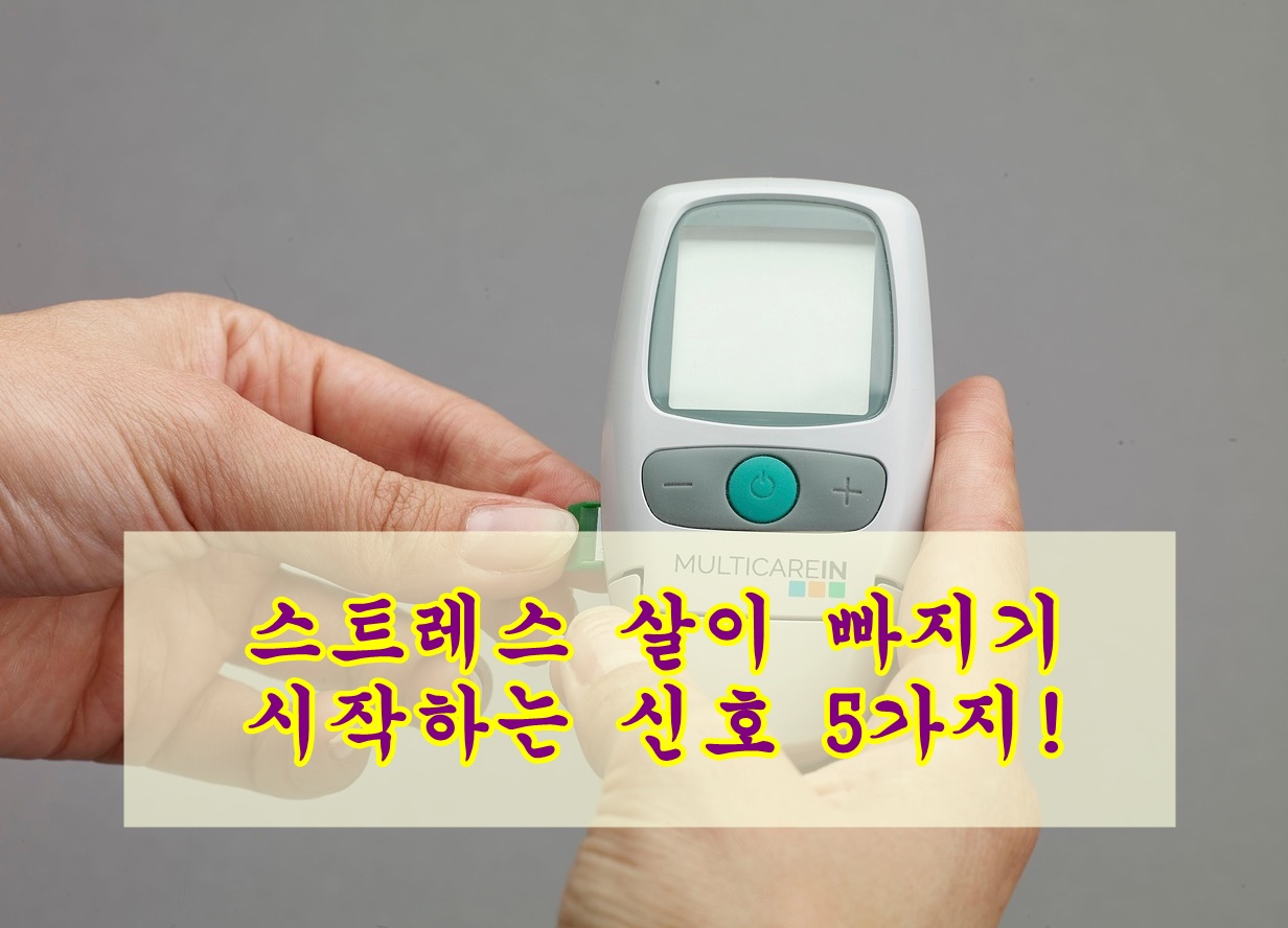 스트레스 살이 빠지기 시작하는 신호 5가지!