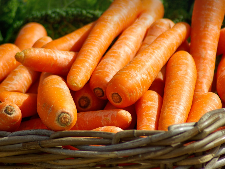기억력에 좋은 음식 당근