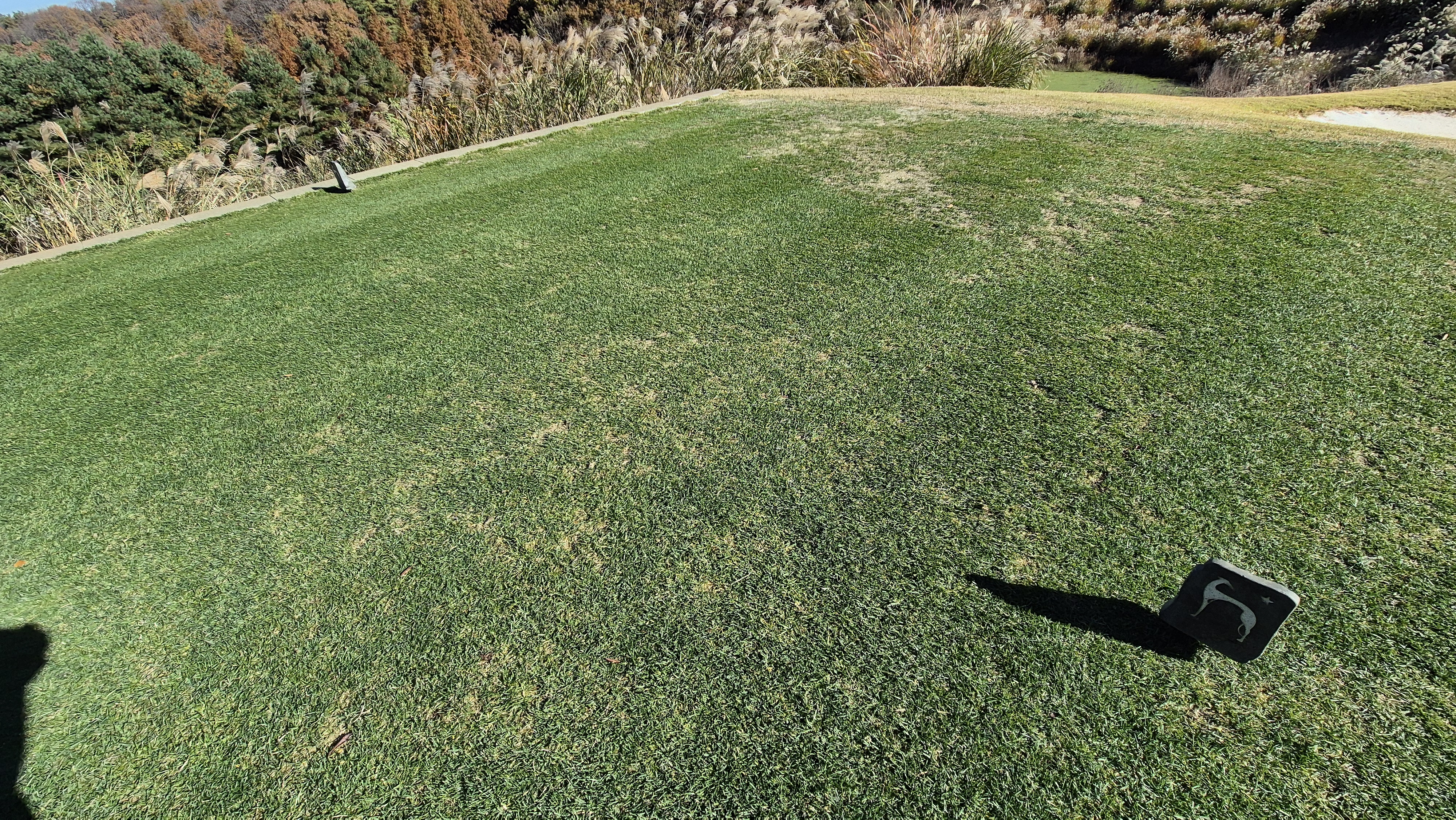 레이캐슬cc 티잉구역 상태