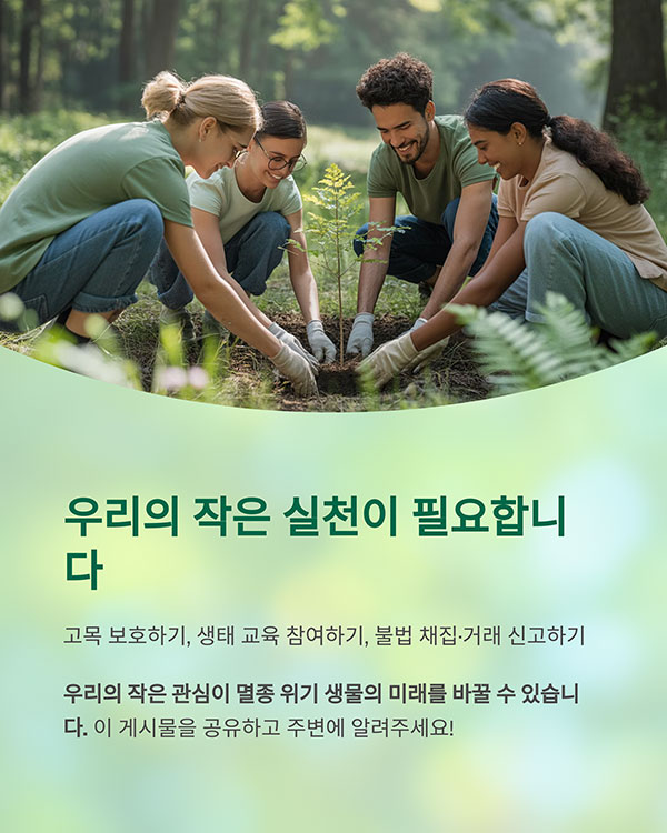 시민이 할 수 있는 실천 방법