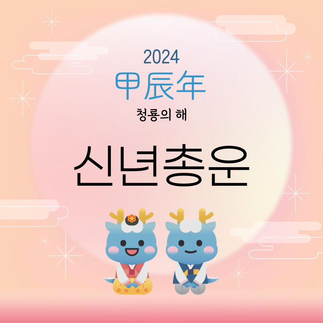 갑진년신년총운