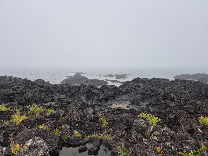 제주 바다 파도 자연 풍경