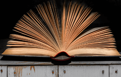 디지털교과서 웹뷰어