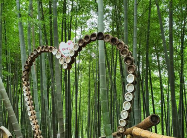 거제 맹종죽테마공원