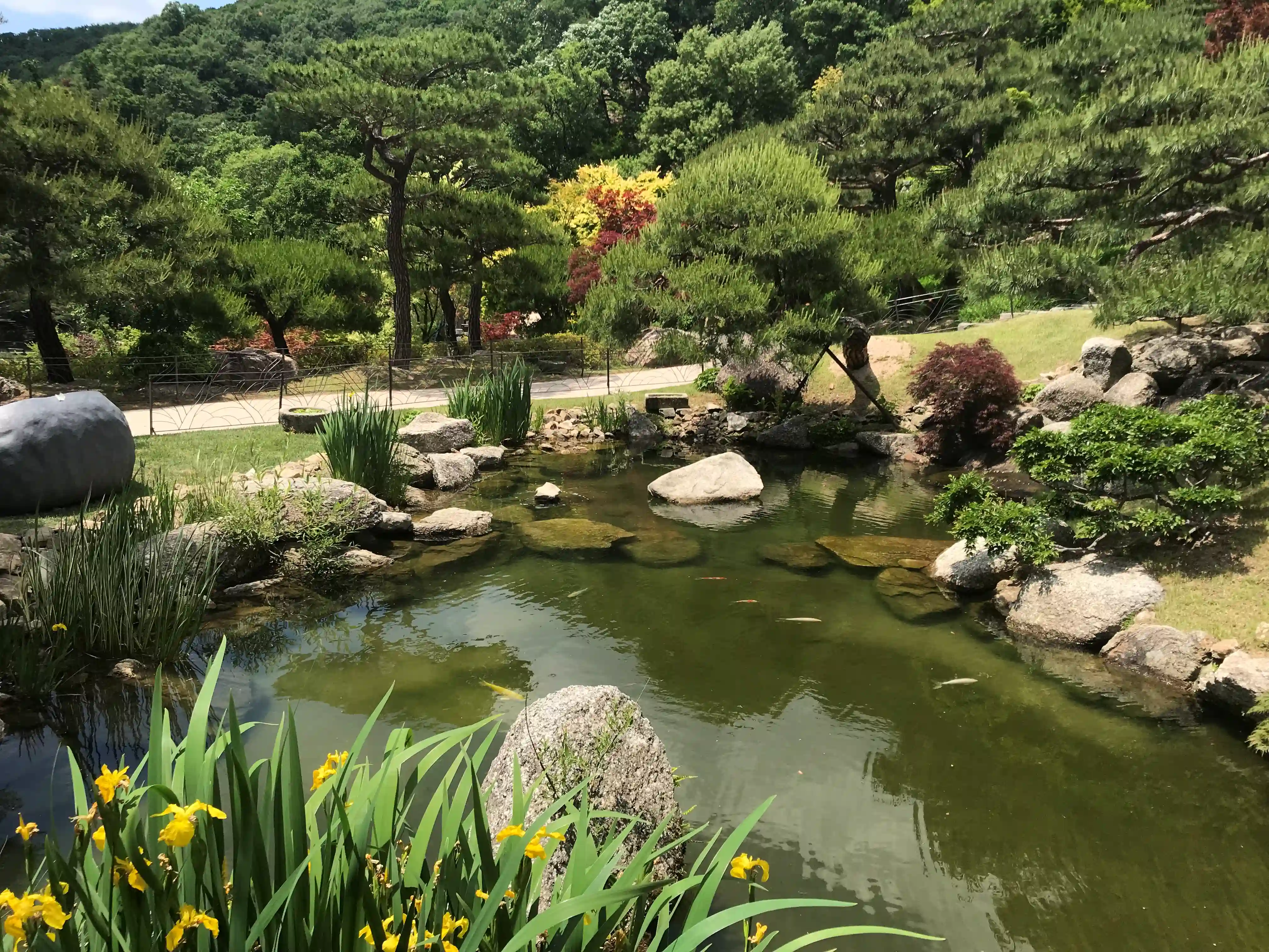 화담숲 안에는 예쁘게 조성된 연못들이 군데군데 있으며&#44; 주변 숲과 너무나 잘 어울리는 모습이다.