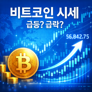 비트코인의 투자, 지금 사야 할까?