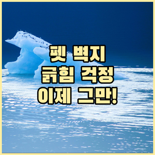 펫 러버를 위한 도배 꿀팁: 긁힘, 