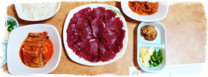생방송 오늘저녁 40년 노포 육회비빔밥 전남 함평 맛집 소개