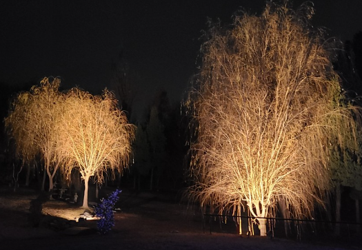 피나클랜드 불꽃 축제 사진4