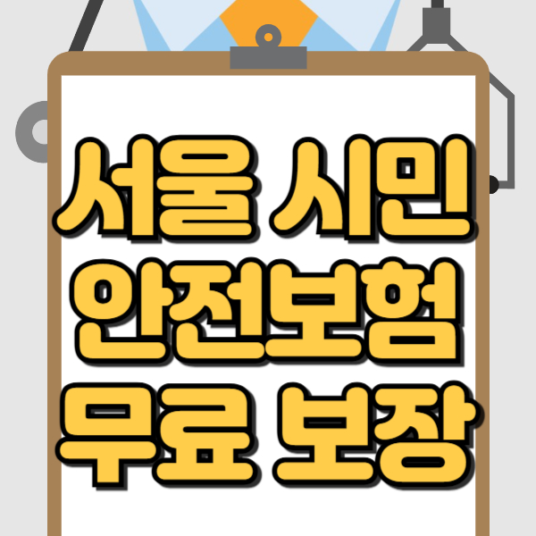 서울 시민안전보험