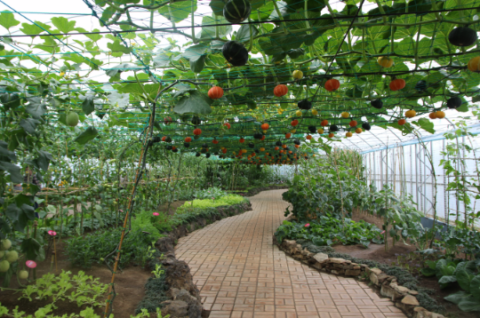 2023 함평나비축제