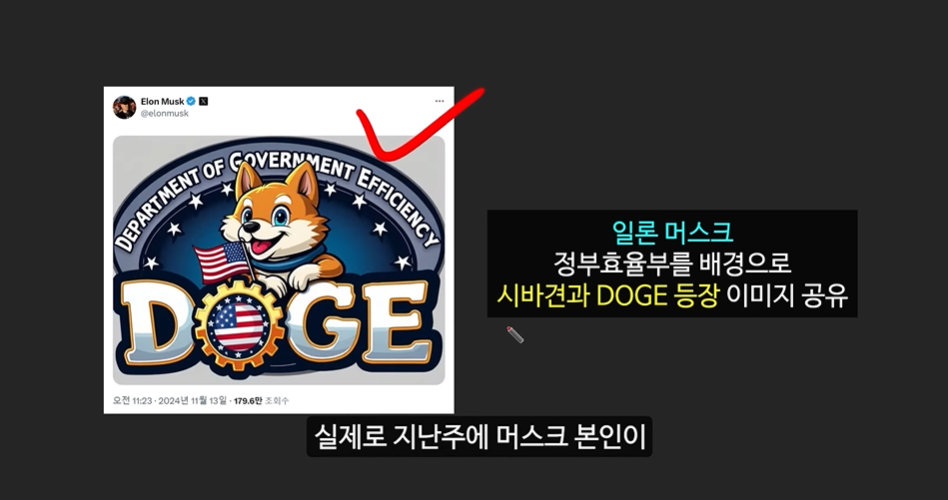 일론 머스크의 충격 발언과 도지코인, 플로키코인, 위프코인, 피넛코인, 프레드 코인의 강력한 상승 가능성 분석