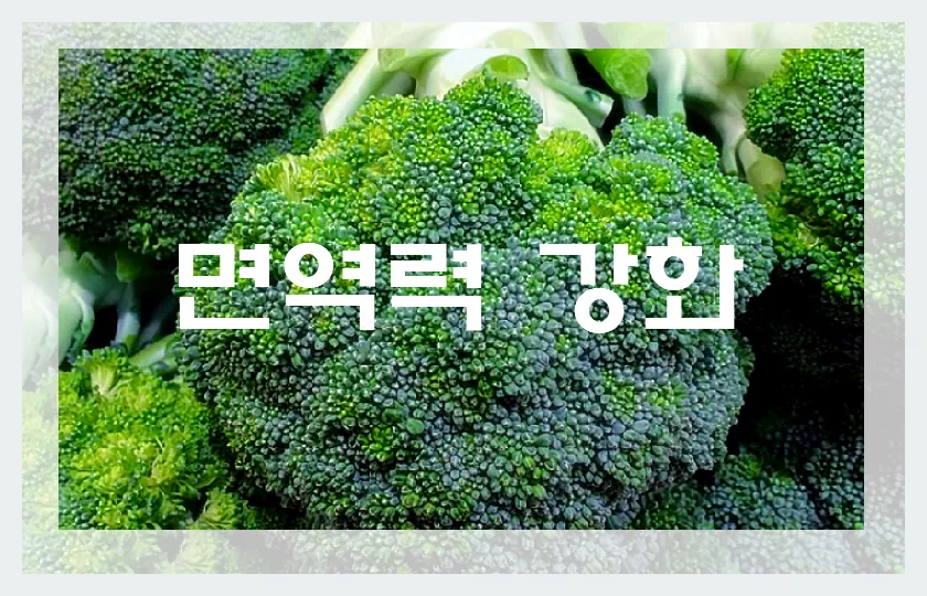 브로콜리