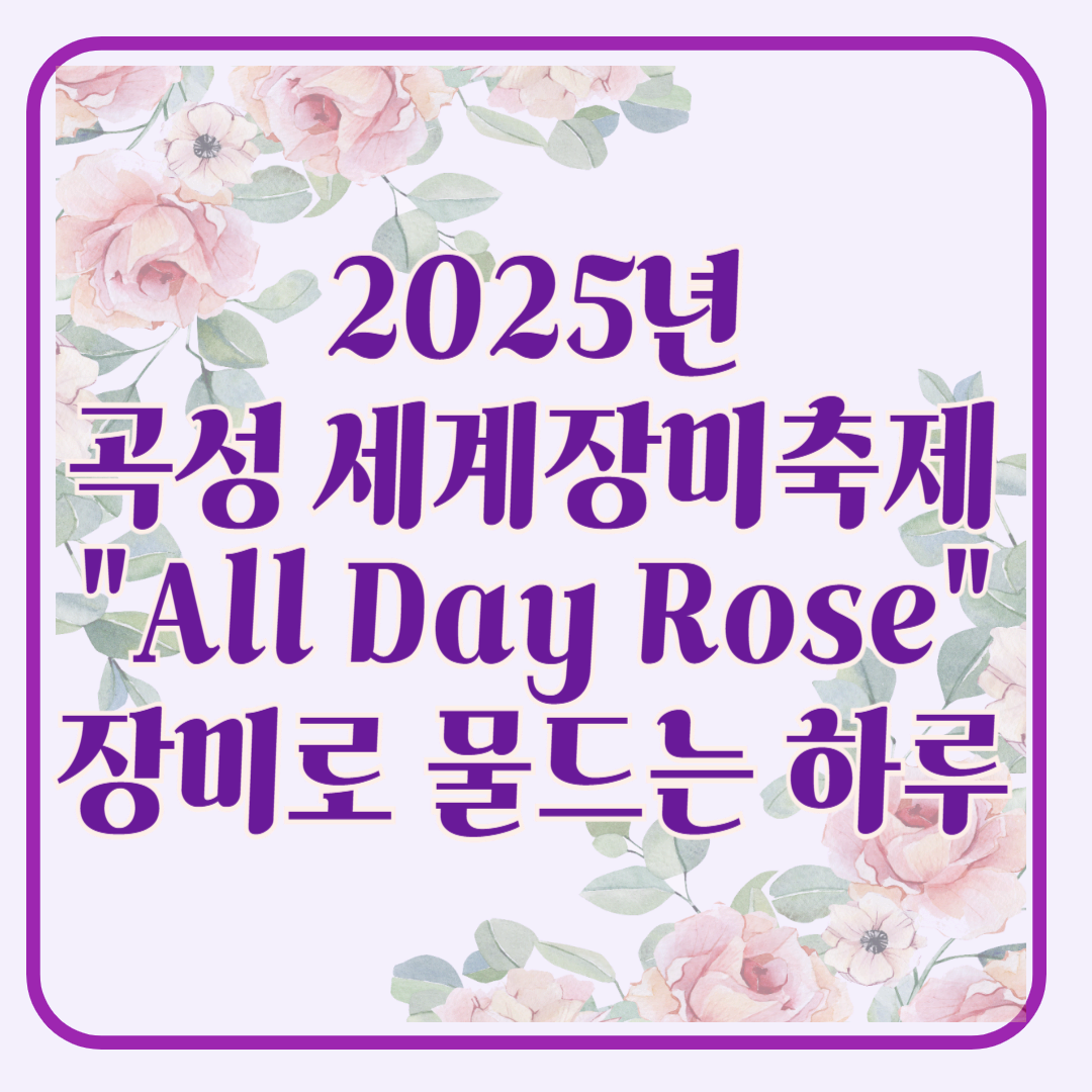 2025 곡성 세계장미축제 All Day Rose 장미로 물드는 하루