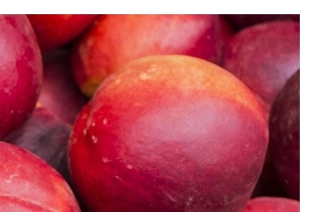 천도복숭아효능