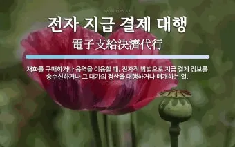 전자지급결제대행 뜻과 원리, 주요 특징_47