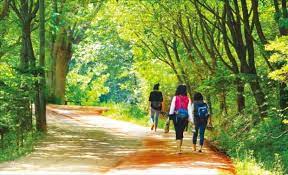 대전 가볼 만한 곳