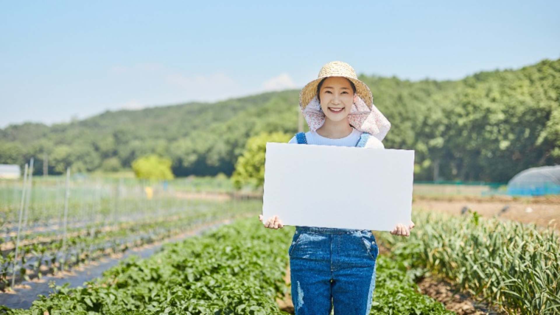 공익직불금 신청 방법 (신청자격&amp;#44; 지급시기)