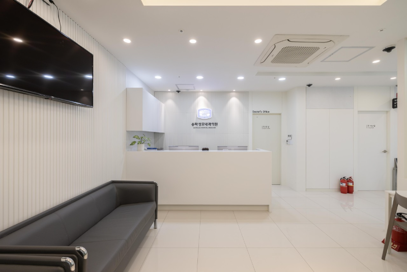 송파구 장지동 내과 병원 감기 독감 진료 유명한 곳 잘하는 곳 추천