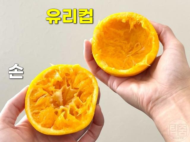 오렌지 주스 짜기 2배 오렌지즙 짜는 기계 없이