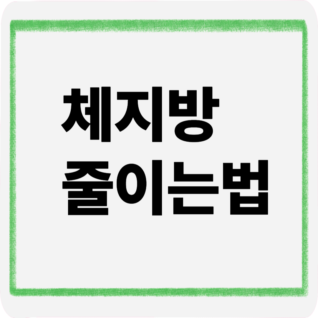 체지방줄이는법