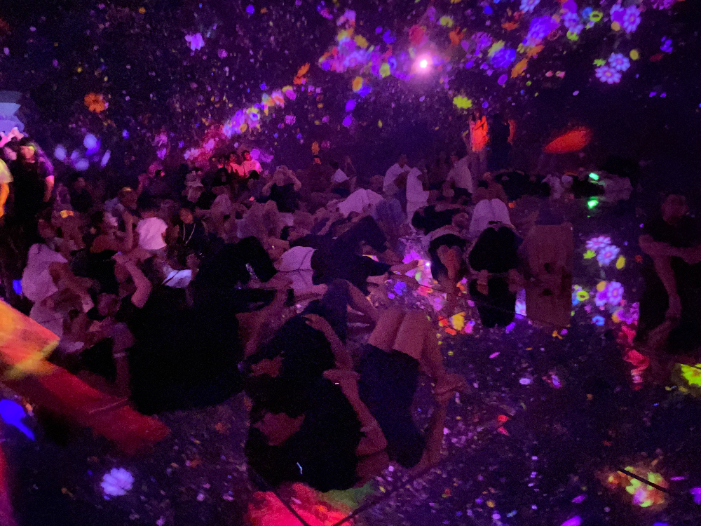 일본 도쿄 팀랩플래닛 관람-떨어지는 꽃들의 우주에 떠다니며