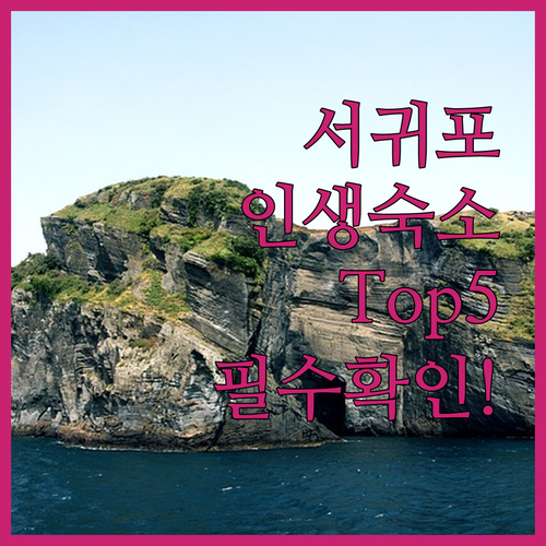 서귀포 숙소 추천 5곳 위치별 장점과..