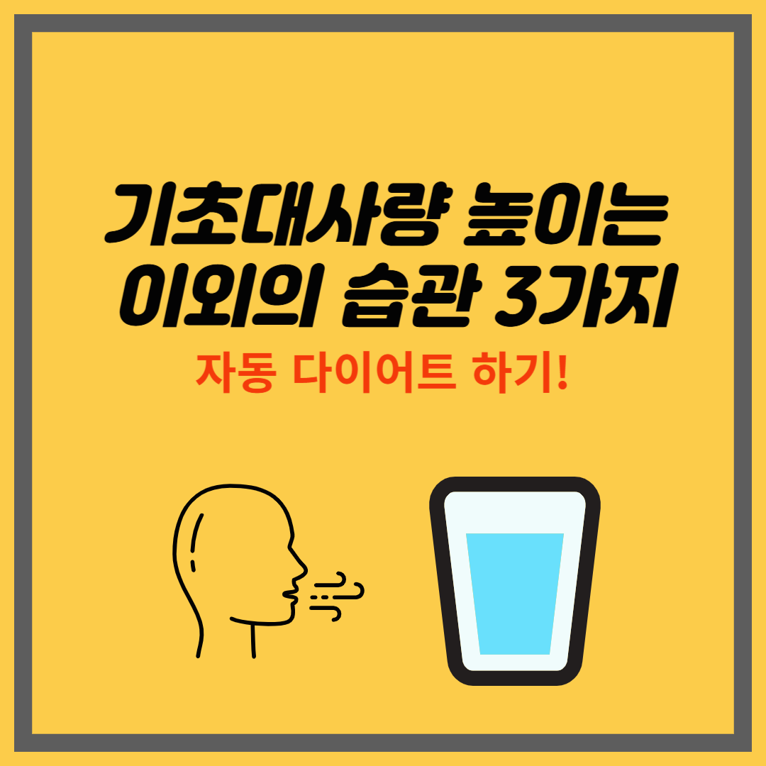 기초대사량 높이는 이외의 습관 3가지 ｜ 자동 다이어트 방법