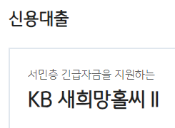 국민은행 생활안정자금 긴급생계자금 대출